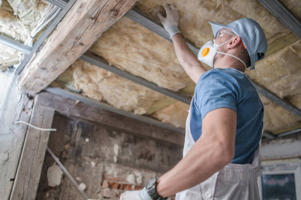 Insulation Inspection Services in Lincoln, ND
